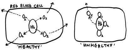 Bohr Effect cartoon